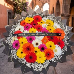 Ramo de 50 Gerberas